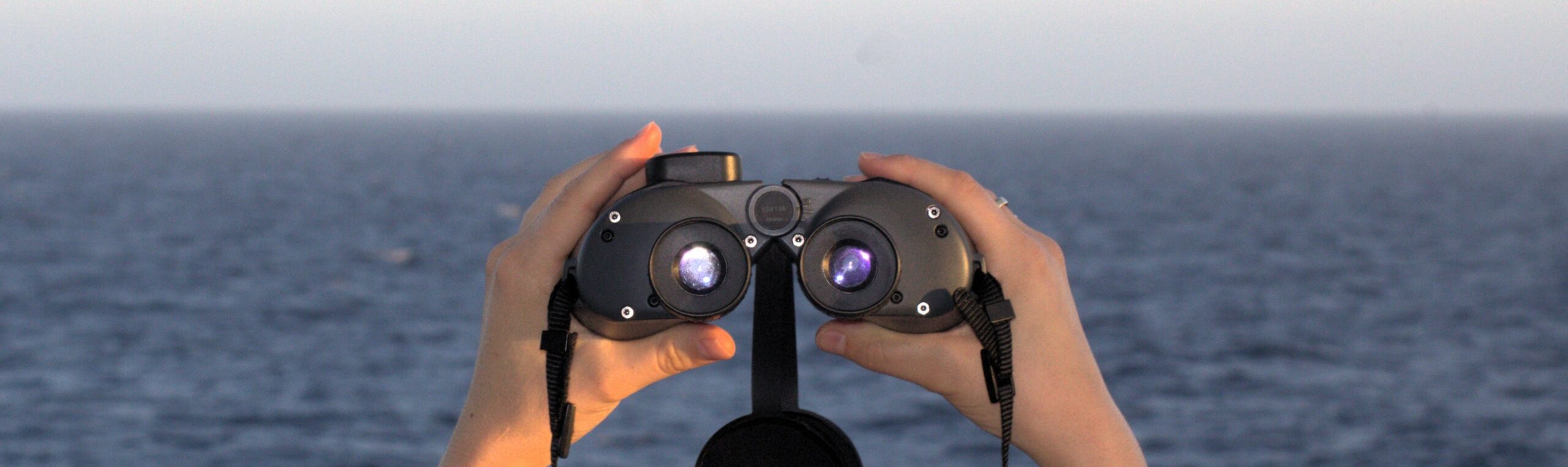 Visual Monitoring
